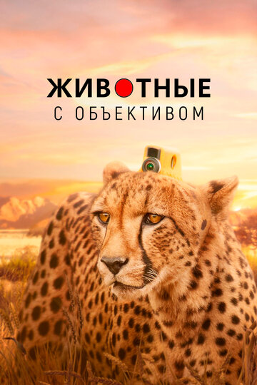 Смотреть Животные с объективом (2018) онлайн в Хдрезка качестве 720p